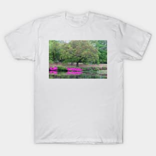 Natural Waterfront T-Shirt